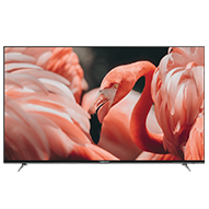 تلویزیون ال ای دی هوشمند زلموند مدل PANA43FS2164 سایز 65 اینچ-small-image