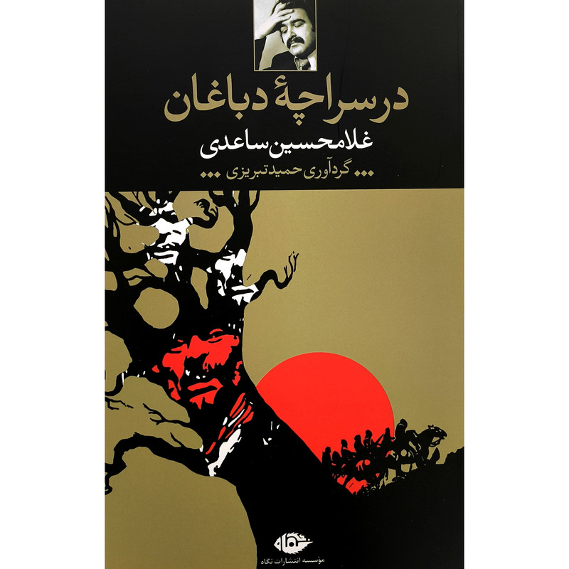کتاب در سراچه دباغان اثر غلامحسین ساعدی نشر نگاه