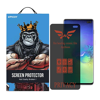گلس گوشی سامسونگ Galaxy S10 Plus اپیکوی مدل Nano-Privacy پرایوسی