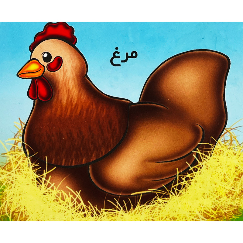 کتاب مرغ اثر شهره يوسفی نشر خانه ادبيات