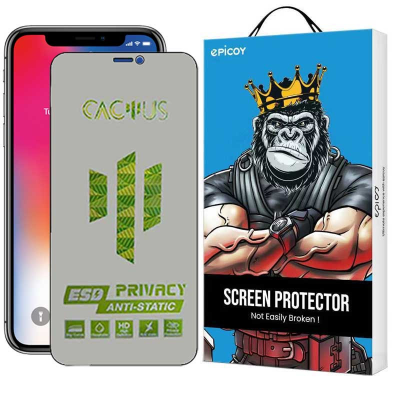 محافظ صفحه نمایش حریم شخصی اپیکوی مدل Cactus-ESD-Privacy مناسب برای گوشی موبایل اپل iPhone 11 Pro - Xs - X