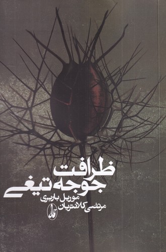 کتاب ظرافت جوجه تیغی انتشارات آگاه- انتشارات کندوکاو